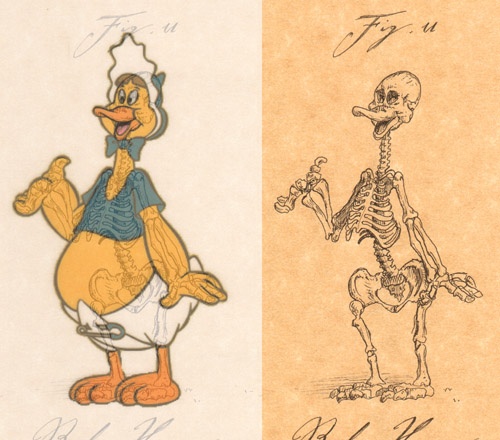 cartoon-character-skeletons